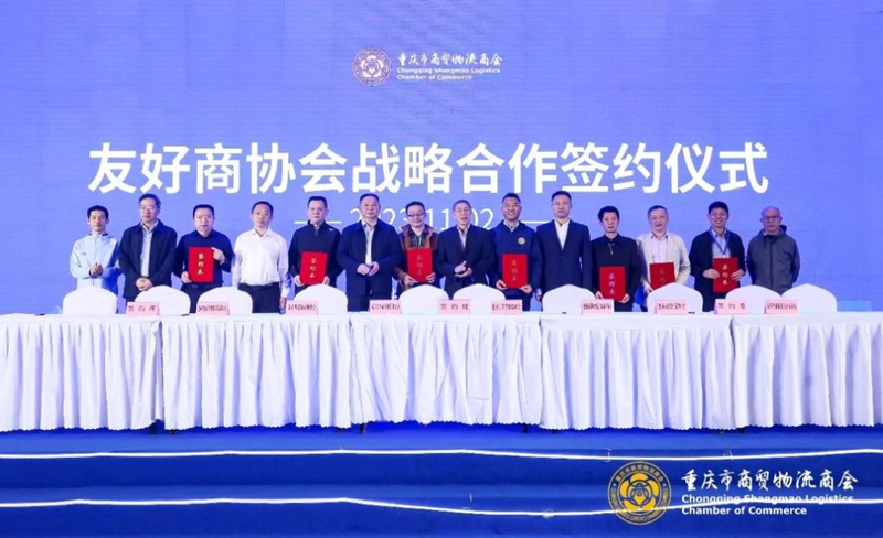 贸易新风向：博涵商贸引领行业发展